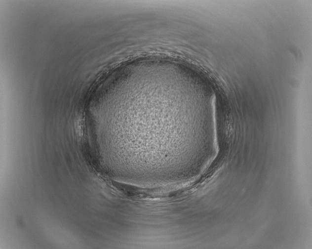 X0000115371490200911171403