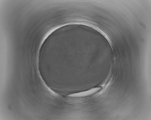 X0000115371533200911171403