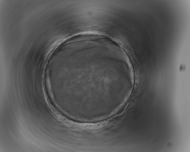 X0000115370001200911241251