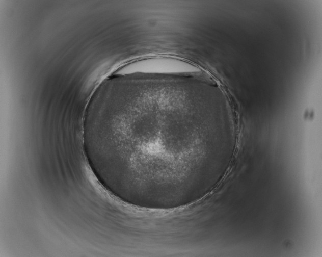 X0000115370002200911241251