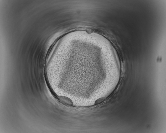 X0000115370003200911241251