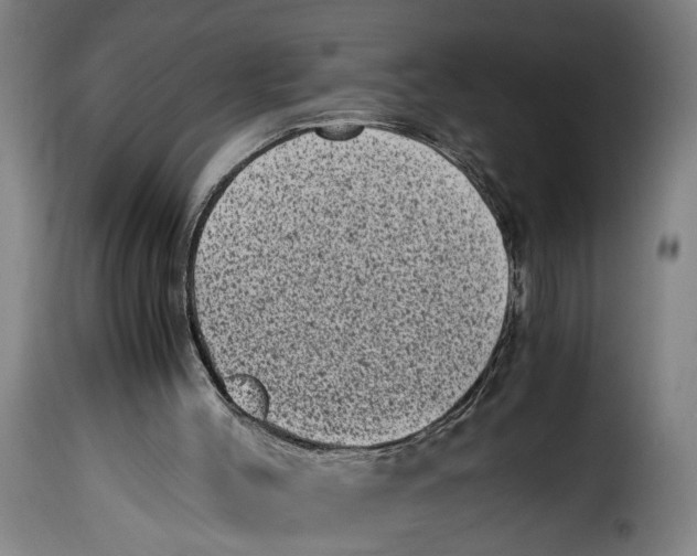 X0000115370004200911241251