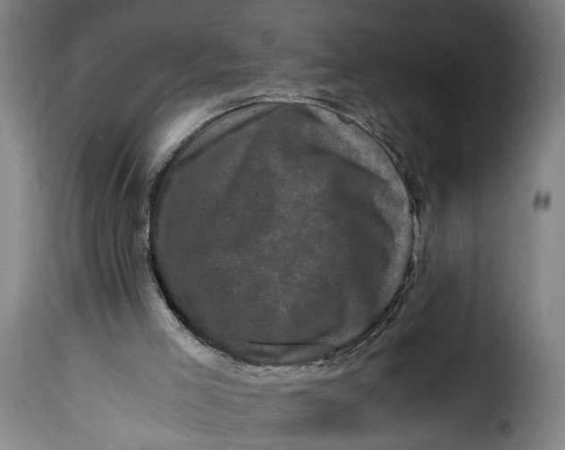 X0000115370005200911241251