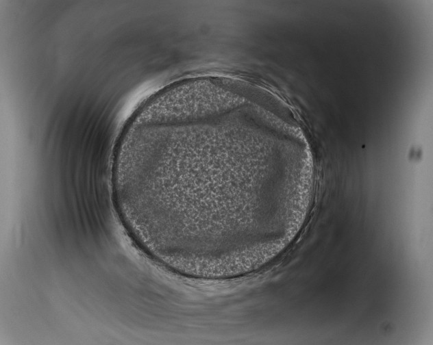 X0000115370006200911241251