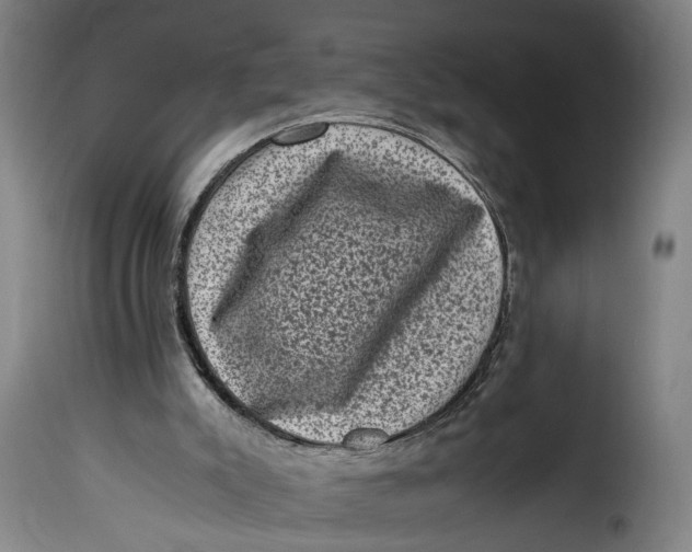 X0000115370007200911241251