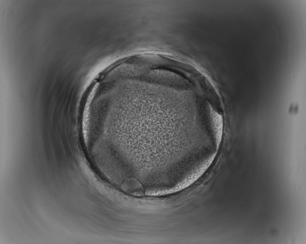 X0000115370008200911241251