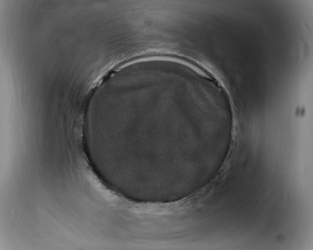 X0000115370009200911241251