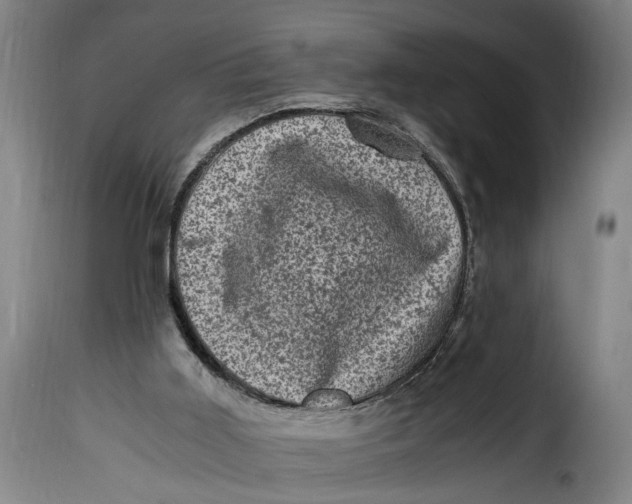 X0000115370011200911241251