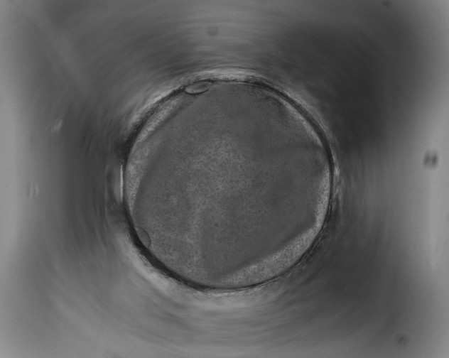 X0000115370013200911241251