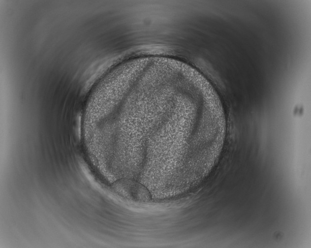 X0000115370014200911241251