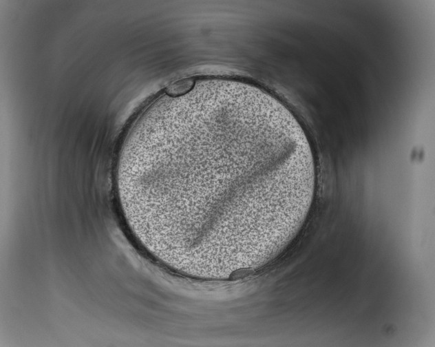 X0000115370015200911241251