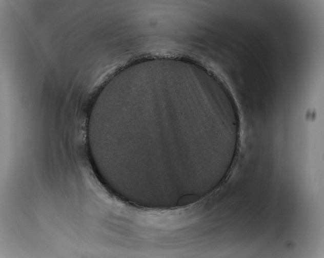 X0000115370017200911241251