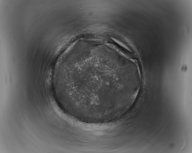 X0000115370018200911241251