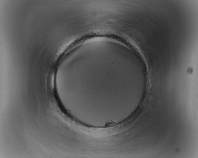 X0000115370019200911241251