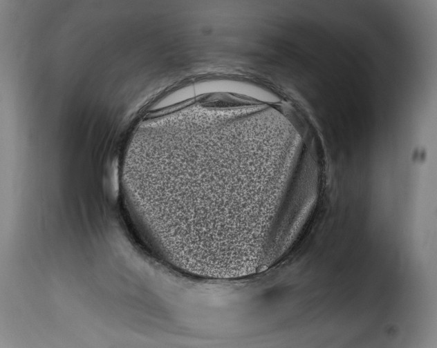 X0000115370020200911241251