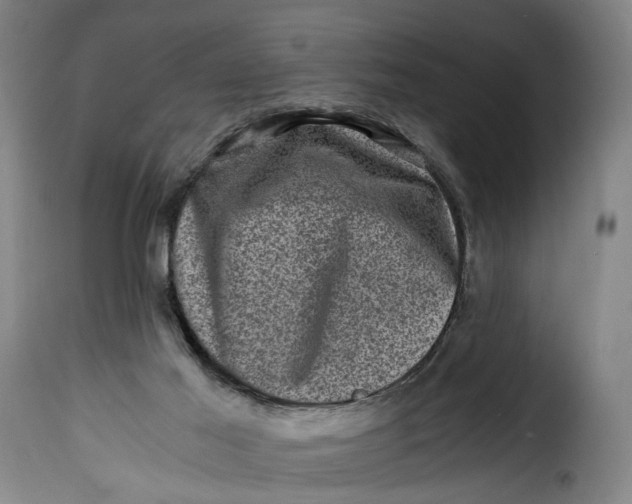 X0000115370021200911241251