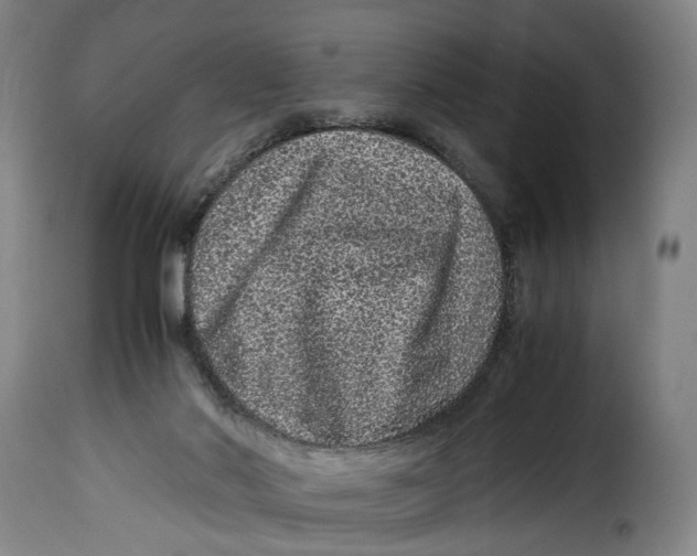 X0000115370022200911241251