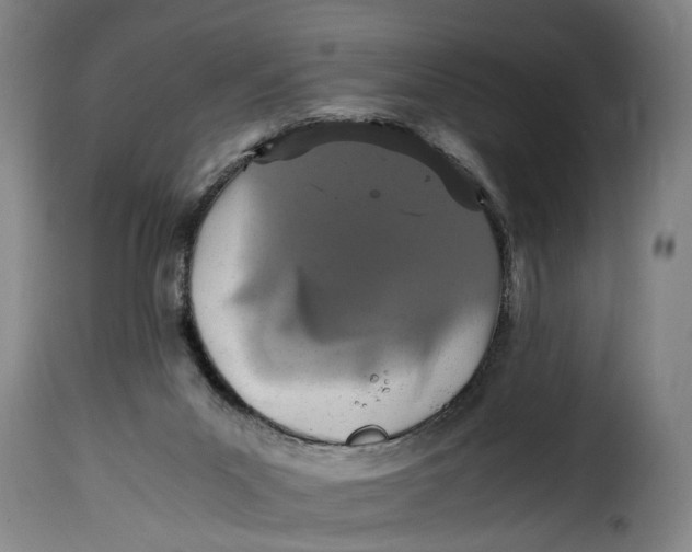 X0000115370023200911241251