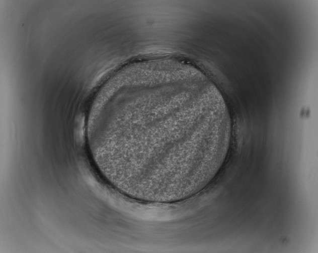 X0000115370024200911241250