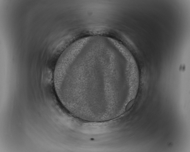 X0000115370025200911241250