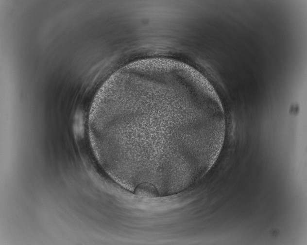 X0000115370026200911241250
