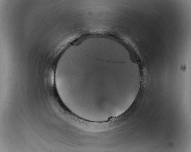 X0000115370027200911241250