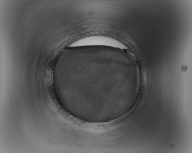 X0000115370029200911241250