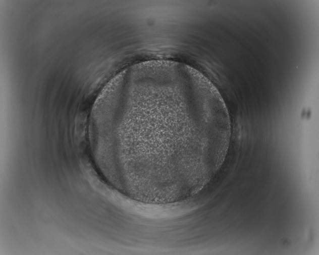 X0000115370030200911241250