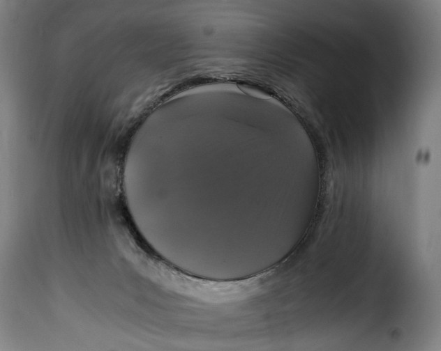 X0000115370031200911241250