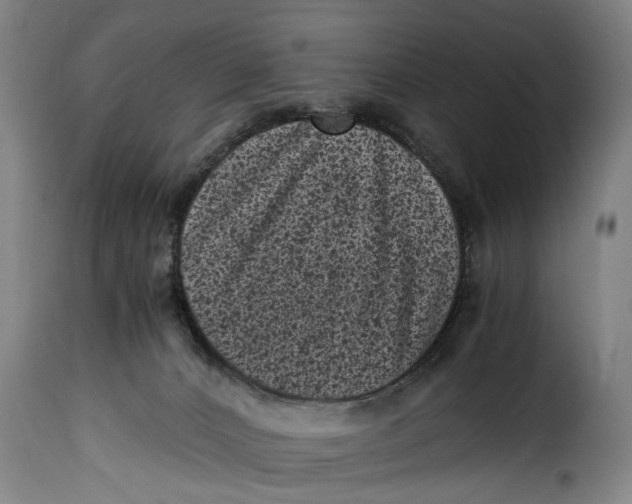 X0000115370032200911241250
