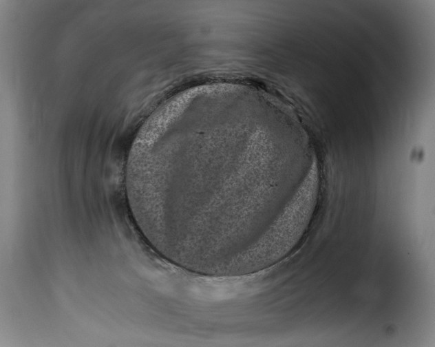 X0000115370033200911241250