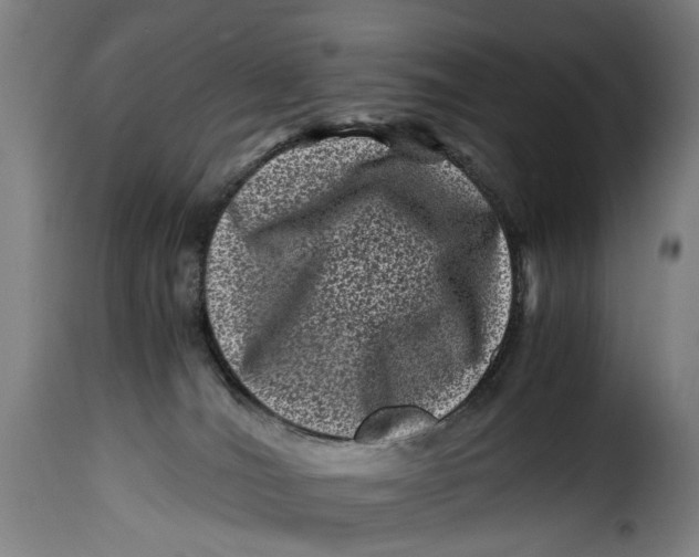 X0000115370036200911241250