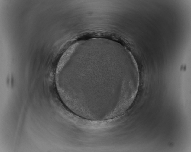 X0000115370037200911241250