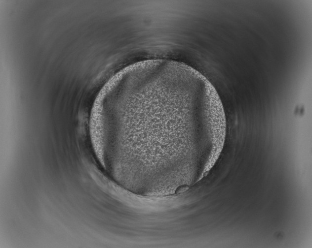 X0000115370038200911241250
