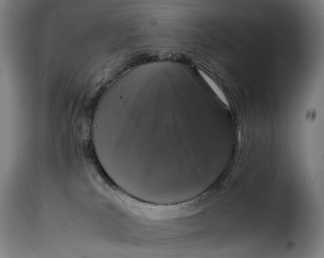 X0000115370039200911241250