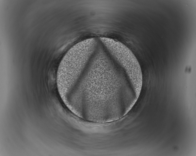 X0000115370040200911241250