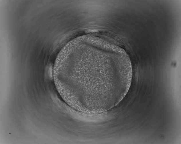 X0000115370042200911241250