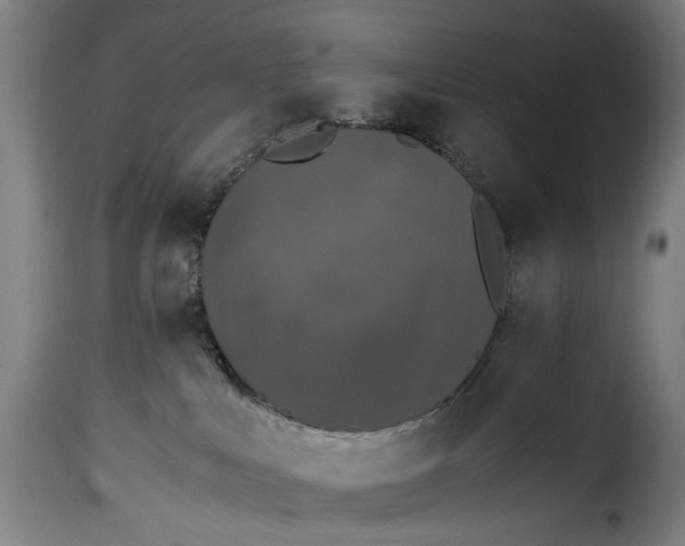 X0000115370043200911241250