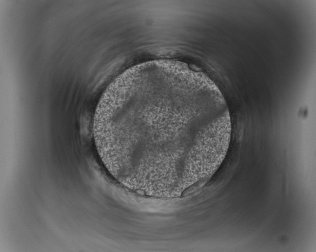 X0000115370044200911241250