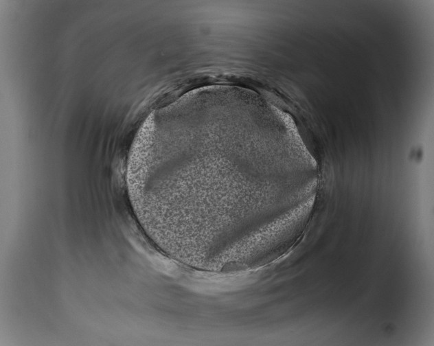X0000115370045200911241250