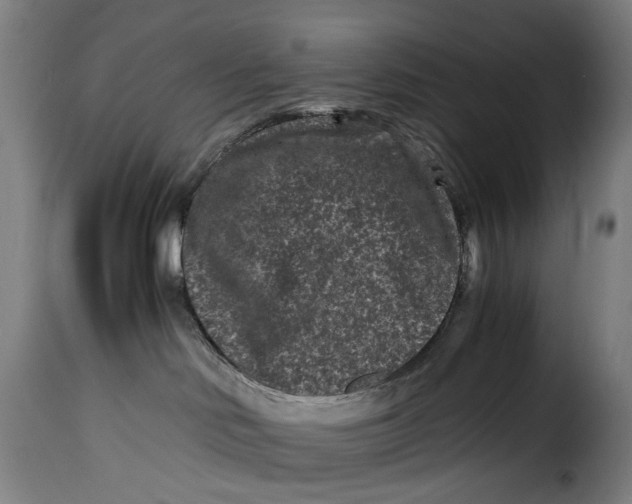 X0000115370046200911241250