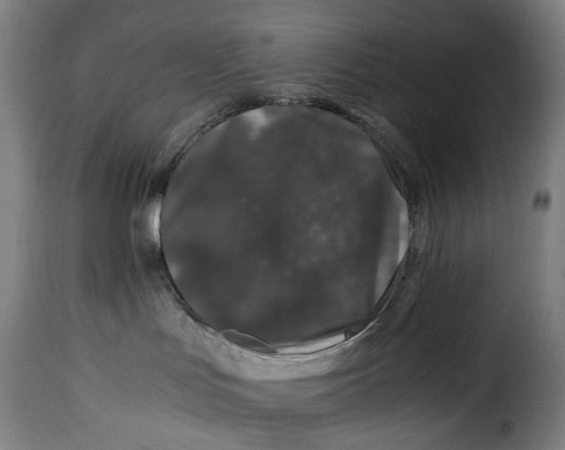X0000115370047200911241250
