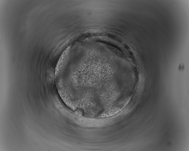 X0000115370048200911241250