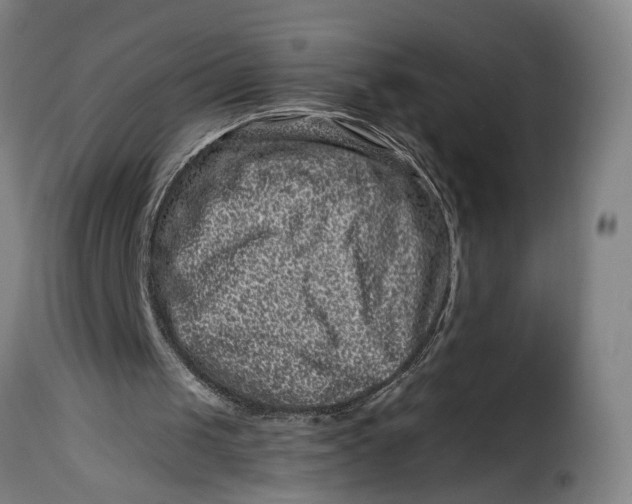 X0000115370049200911241249