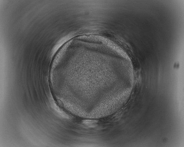 X0000115370051200911241249