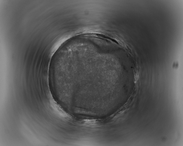 X0000115370052200911241249