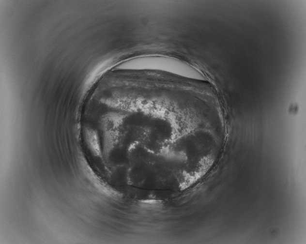 X0000115370053200911241249