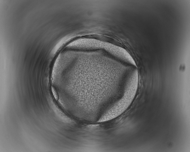 X0000115370054200911241249