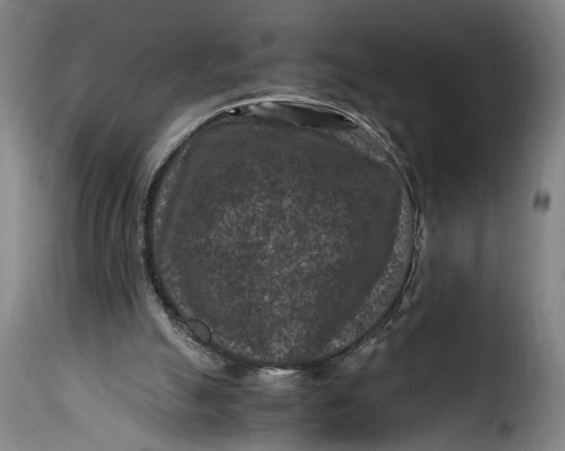X0000115370055200911241249