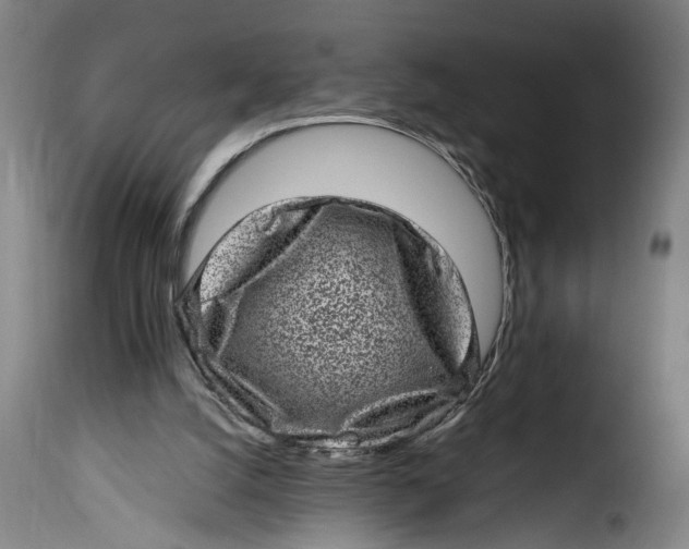 X0000115370056200911241249